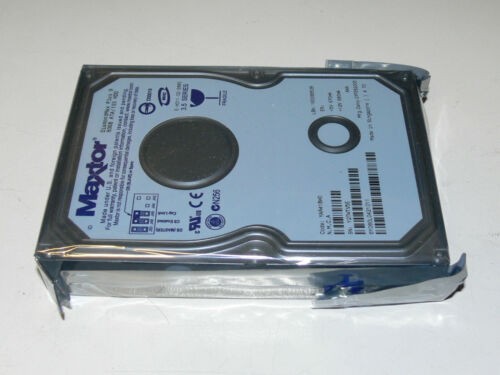 MAXTOR 6Y080L0 DiamondMax Plus 9 80 GB 3,5" Zoll IDE PATA Festplatte HDD Neu