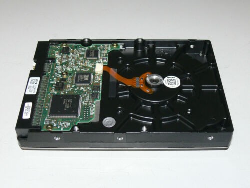 IBM Deskstar IC35L040AVVN07-0 40 GB 3,5" Zoll IDE PATA Festplatte HDD Neu